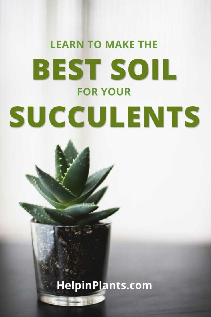 Learn how to make the Best soil for succulents and cacti