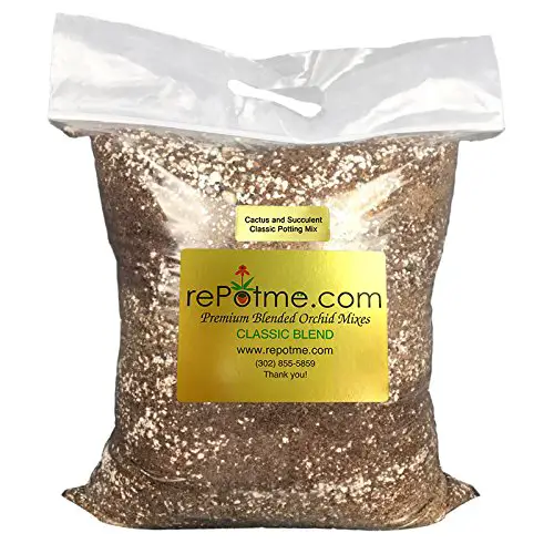 Best Succulents Soil Reviewed - with Buying Guide (2020) 6 Cactus and Succulent Soil Mix - Classic Blend (Mini Bag)