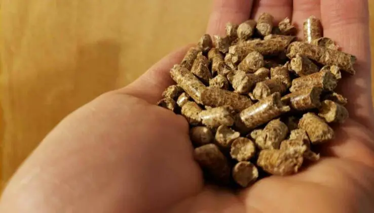 How To Grow Oyster Mushrooms at Home 15 mushroom substrate hardwood fuel pellets