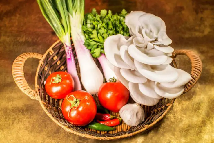 How To Grow Oyster Mushrooms at Home 2