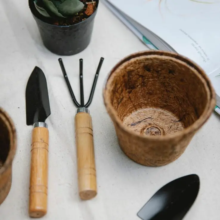 How to plant succulents - Step by Step Process 5 preparing container for succulent planting